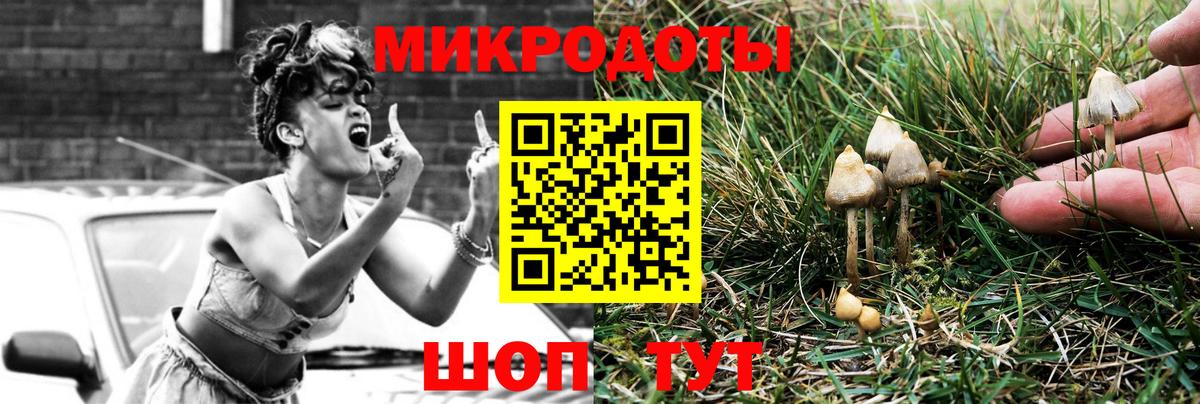 Псилоцибиновые грибы MAGIC MUSHROOMS Тамбов
